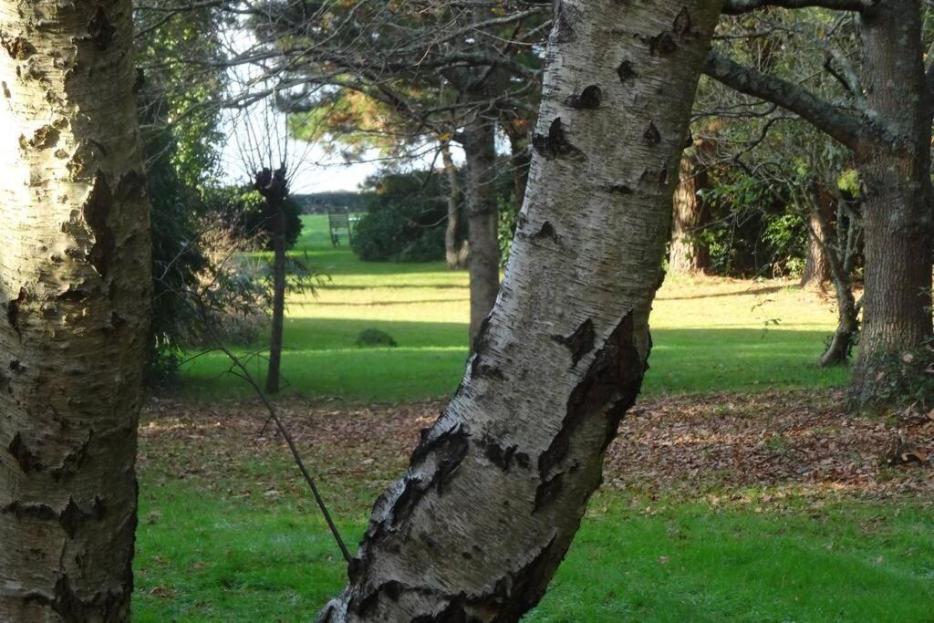 Ty Too, Dans Les Bois, Face Mer Pénestin 外观 照片